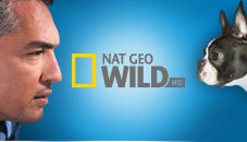 Konkurs Nat Geo Wild 